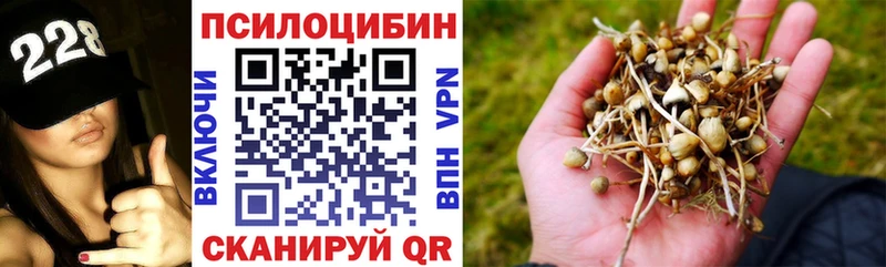 Галлюциногенные грибы Cubensis  Купить  Волгореченск 